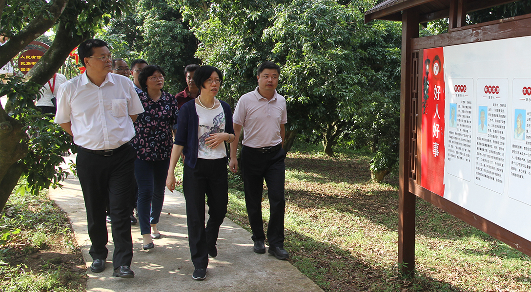 市领导到云安区调研乡村振兴工作