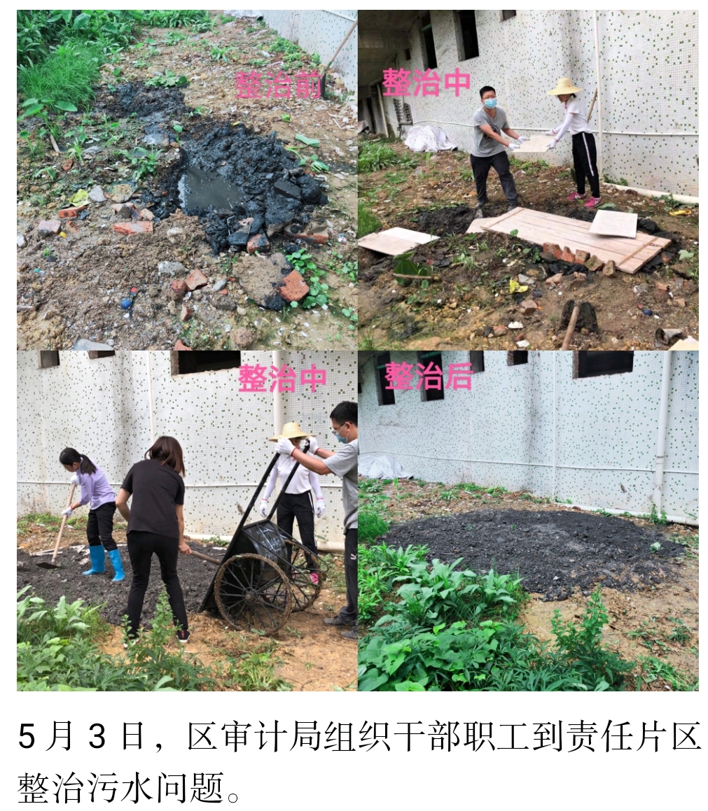 区审计局组织干部职工到责任片区整治污水问题.jpg