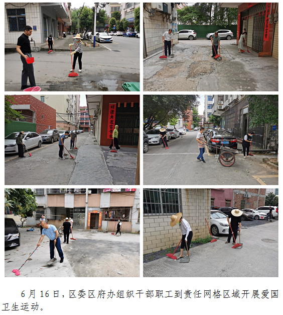 区委区府办开展“爱国卫生周”环境卫生集中整治行动.png