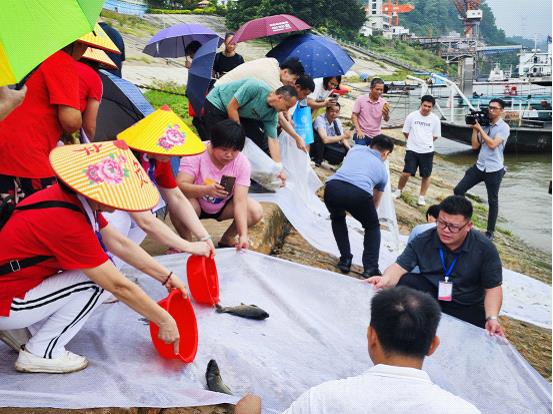 图片6.jpg