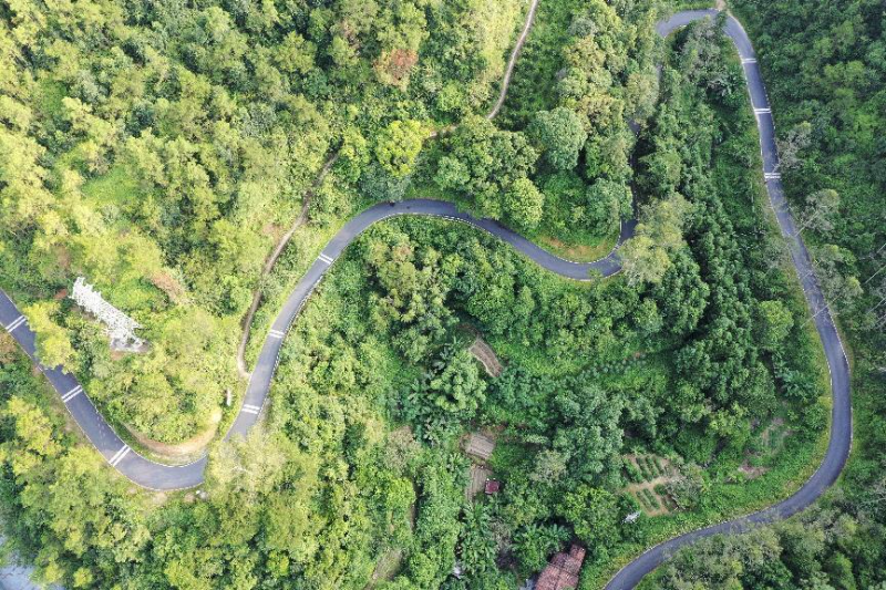 （最新）云安区交通运输局：畅通新“稻”路，绘就新“丰”景，共筑乡村“镇”兴梦1.doc_4