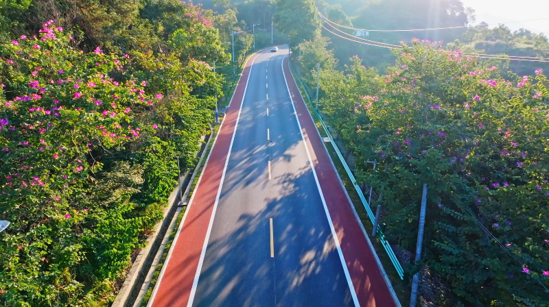 88 云安：决胜收官“十四五”交通建设 启航“十五五”融合发展新征程.doc_2