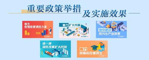 重要政策举措及实施效果
