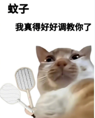 7319963f55e3e46d62ddd56192befc53.jpg